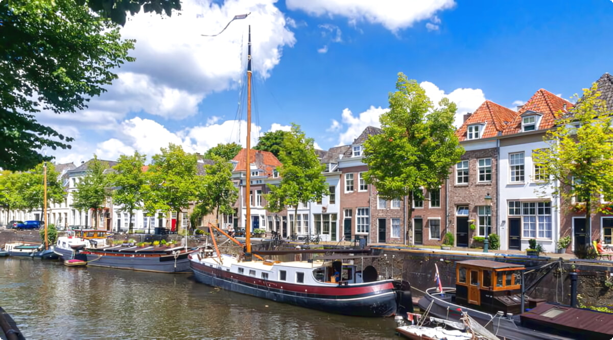 Il nostro inventario include una vasta gamma di veicoli.